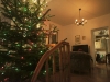 Kerstboom bijna klaar