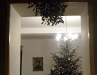 Christmas tree and the mistletoe